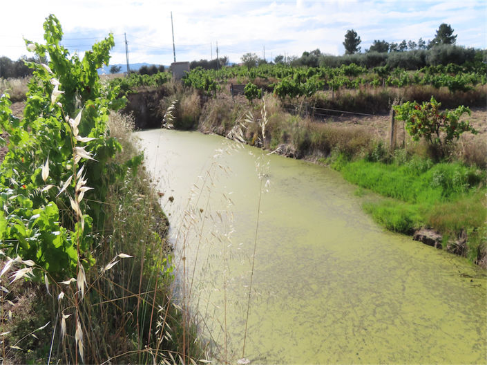 Image No.13-Property for sale