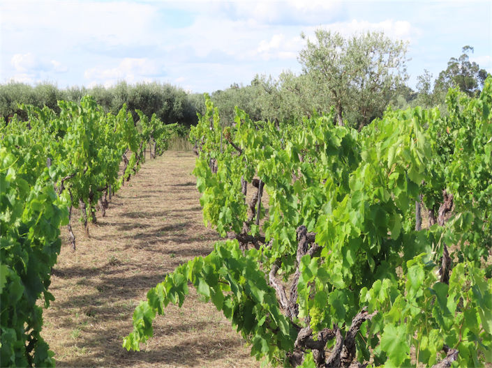 Image No.15-Property for sale