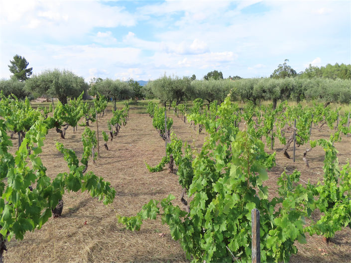 Image No.17-Property for sale