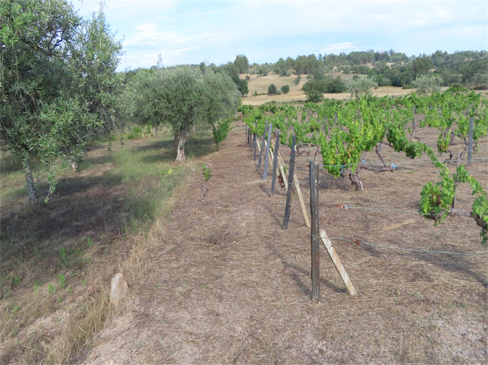 Image No.18-Property for sale