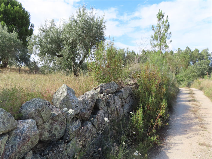 Image No.5-Property for sale