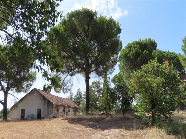 Image No.1-Propriété de 3 chambres à vendre à Castelo Branco