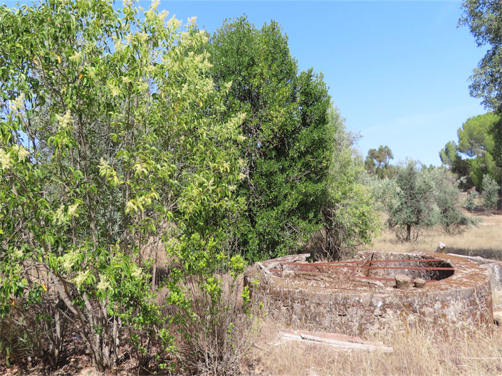 Image No.9-3 Bed Property for sale