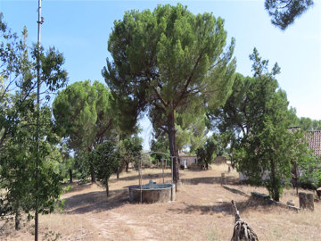 012-1