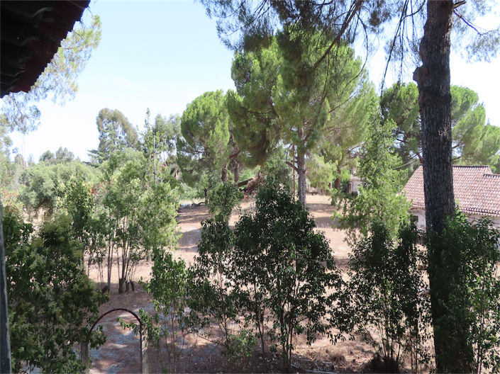 Image No.14-3 Bed Property for sale