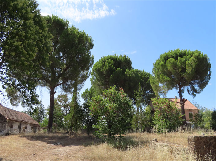 Image No.1-3 Bed Property for sale