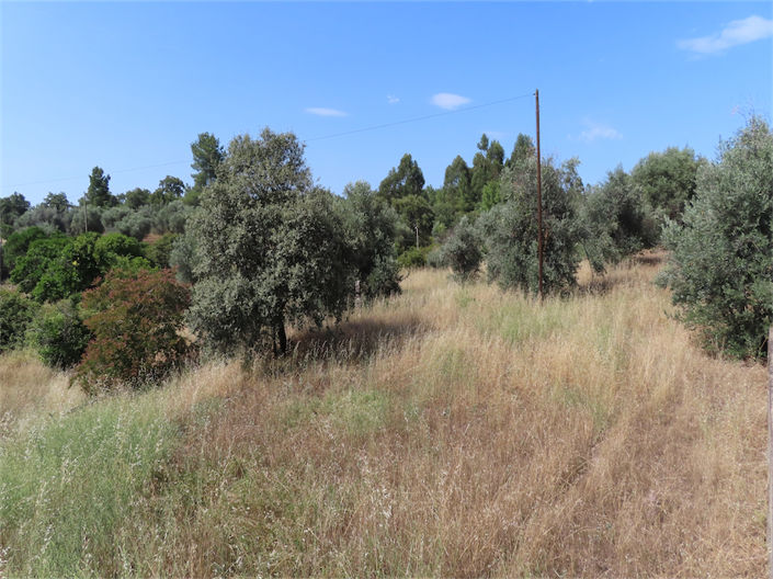 Image No.30-3 Bed Property for sale