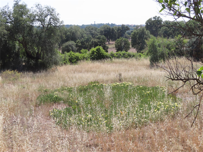 Image No.37-3 Bed Property for sale