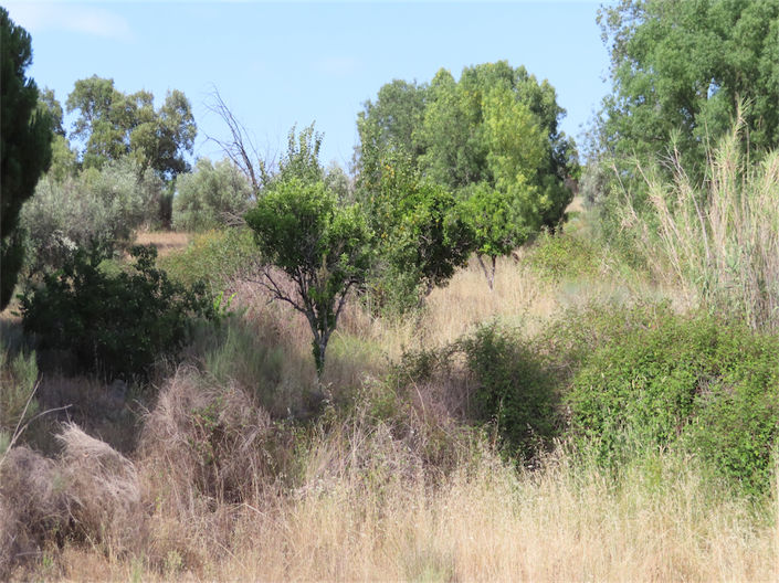 Image No.44-3 Bed Property for sale