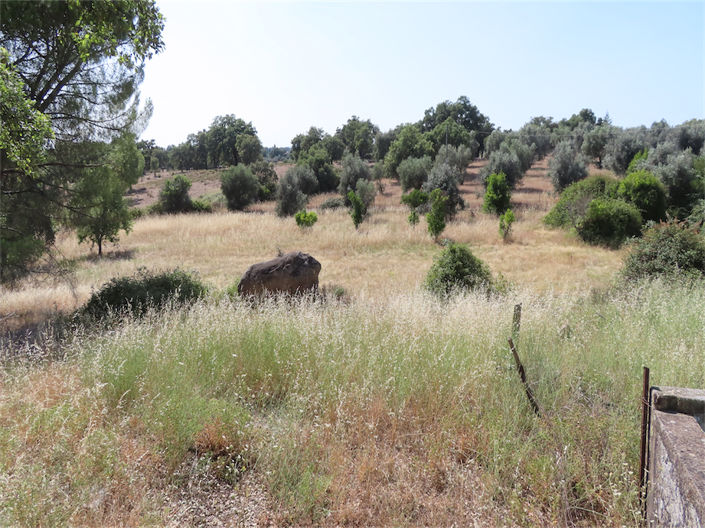 Image No.46-3 Bed Property for sale