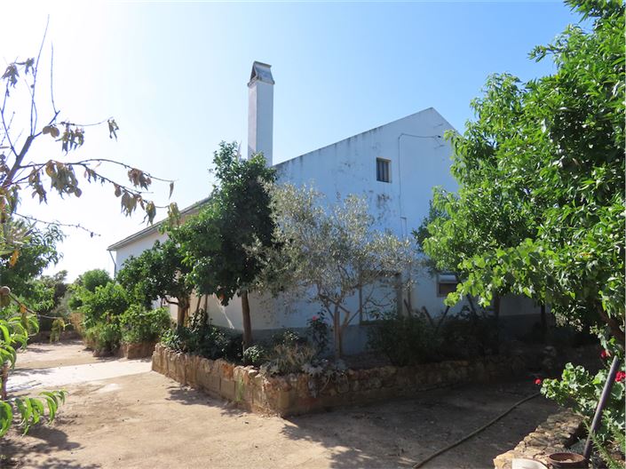Image No.1-Propriété de 3 chambres à vendre à Castelo Branco