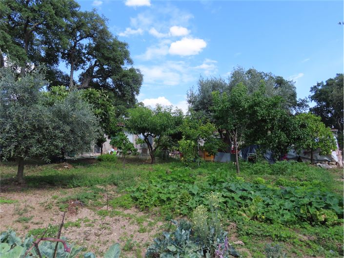 Image No.13-Property for sale