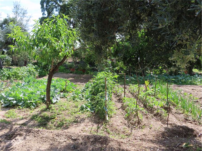 Image No.42-Property for sale