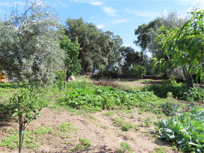 Image No.43-Property for sale