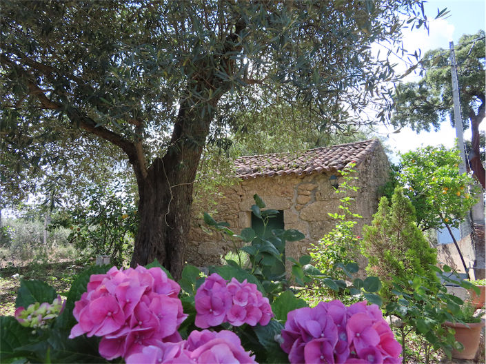 Image No.46-Property for sale