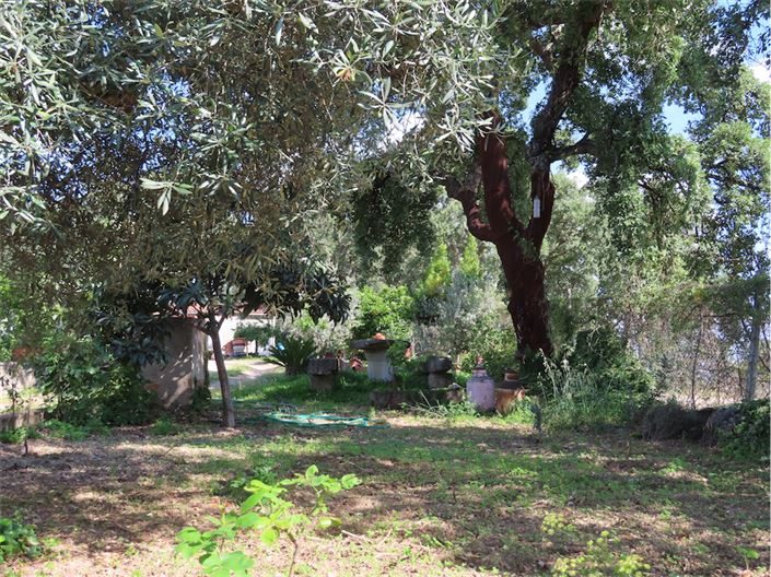 Image No.49-Property for sale