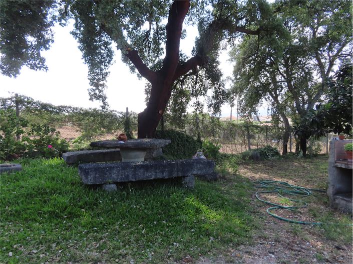 Image No.7-Property for sale