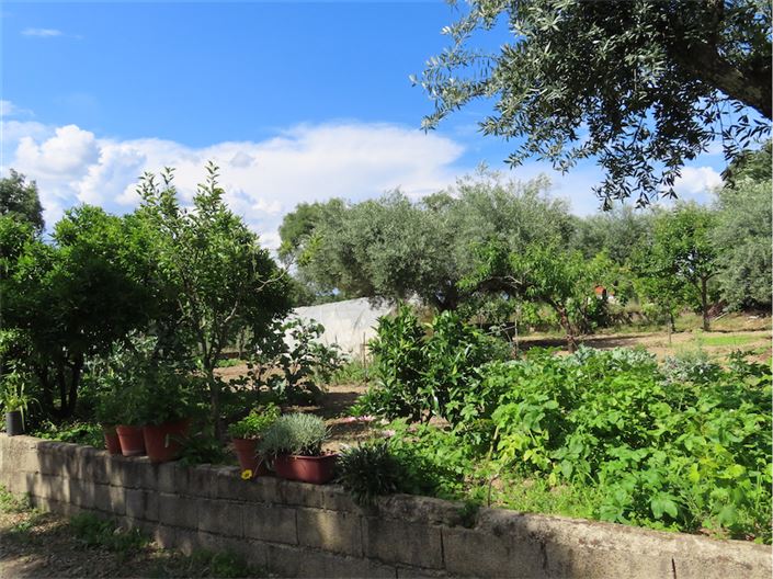 Image No.9-Property for sale