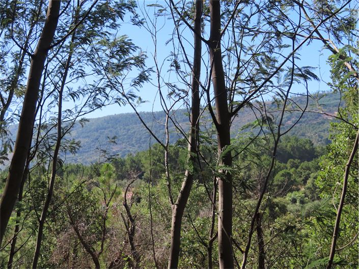 Image No.14-2 Bed Property for sale