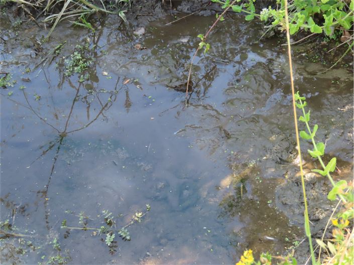 Image No.33-2 Bed Property for sale