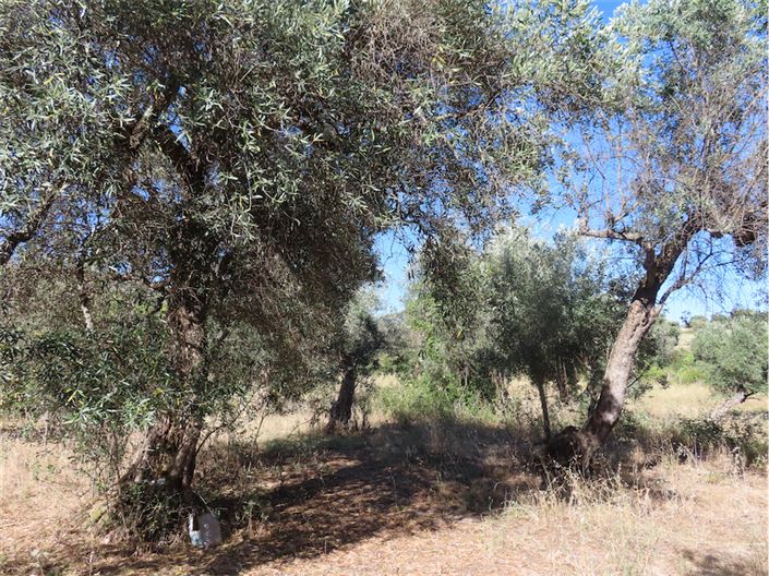 Image No.35-2 Bed Property for sale