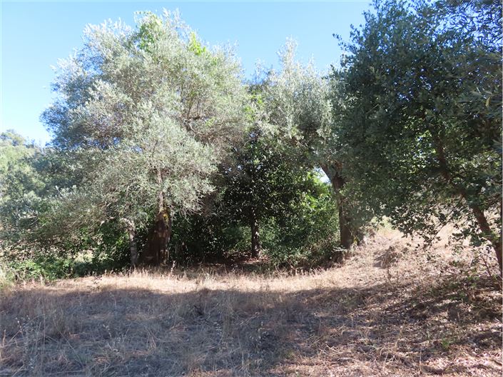 Image No.36-2 Bed Property for sale