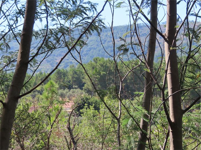 Image No.4-2 Bed Property for sale