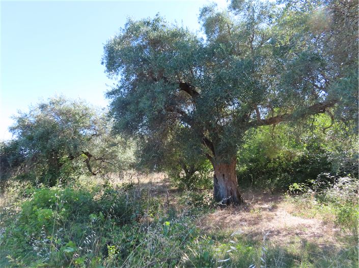 Image No.40-2 Bed Property for sale