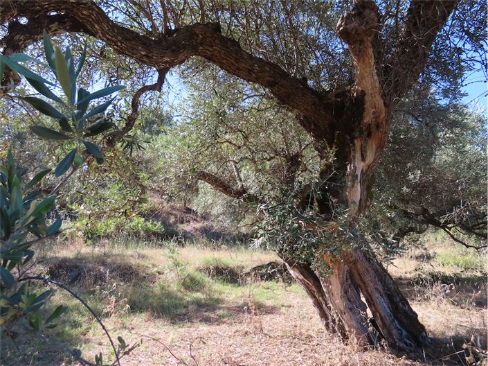 Image No.41-2 Bed Property for sale