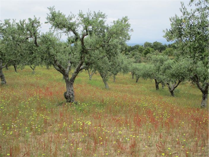 Image No.10-Property for sale