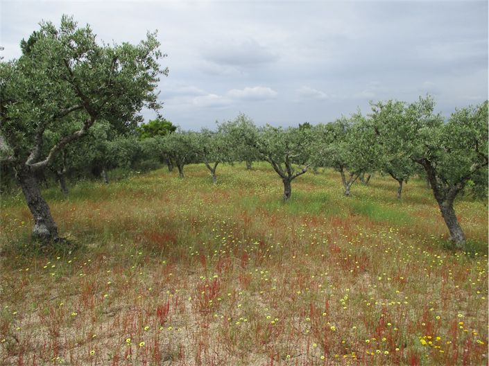 Image No.16-Property for sale