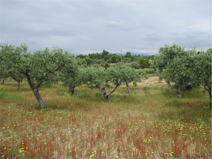 Image No.17-Property for sale