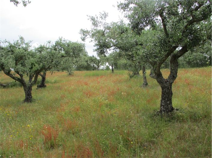 Image No.19-Property for sale