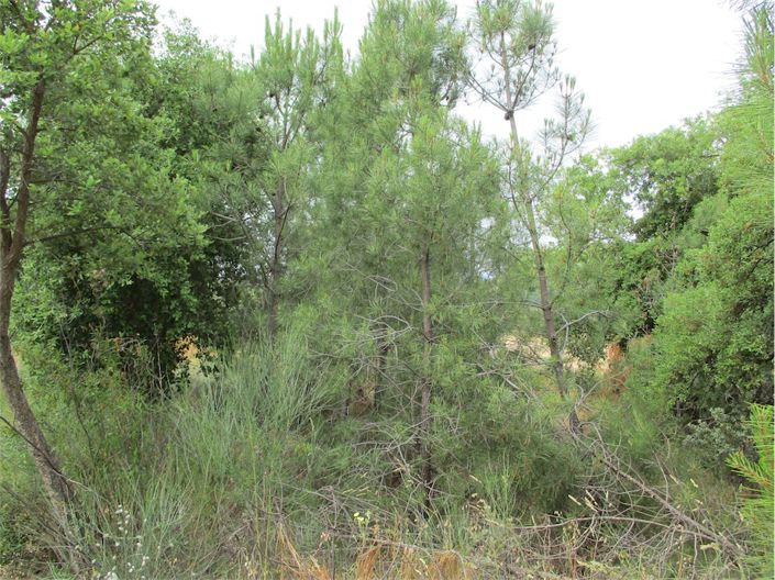 Image No.22-Property for sale