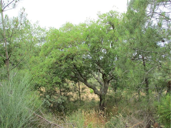 Image No.23-Property for sale