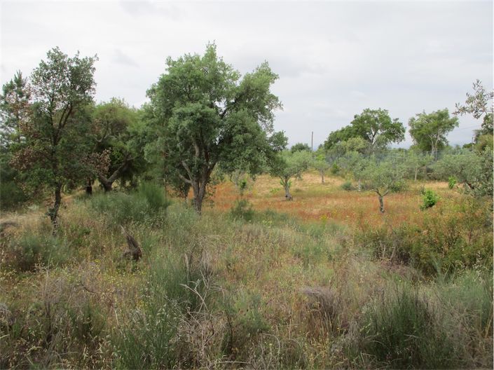 Image No.24-Property for sale