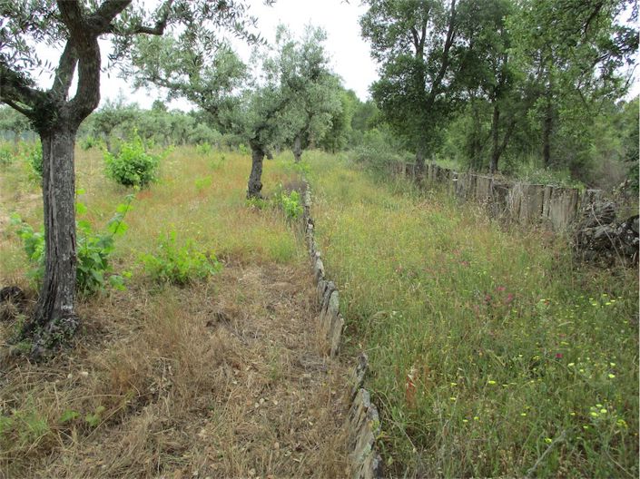 Image No.28-Property for sale