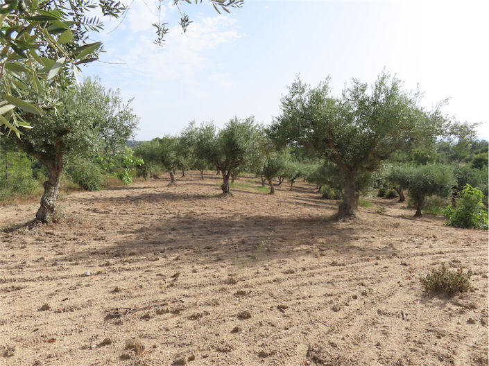 Image No.41-Property for sale