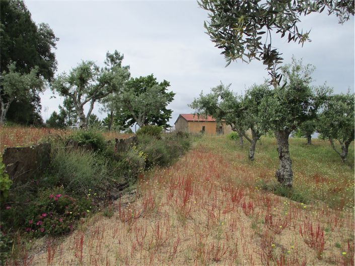 Image No.7-Property for sale