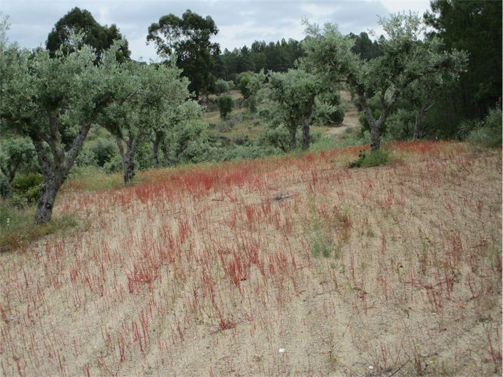 Image No.9-Property for sale