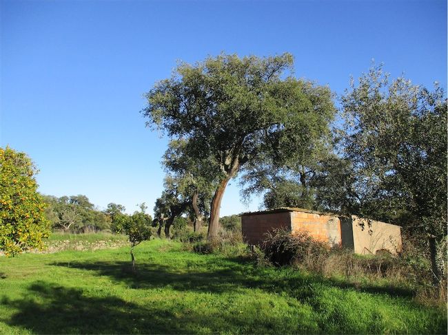 Image No.1-Property for sale