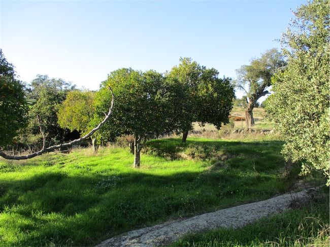 Image No.10-Property for sale