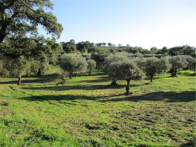 Image No.12-Property for sale