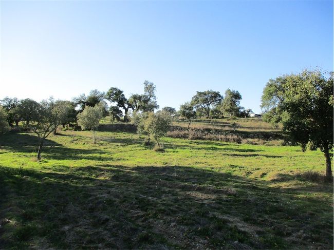 Image No.13-Property for sale