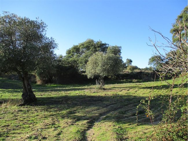 Image No.14-Property for sale