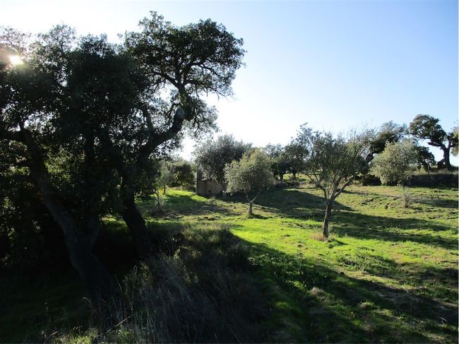 Image No.16-Property for sale