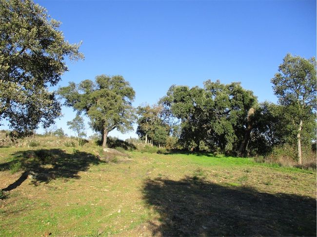 Image No.17-Property for sale