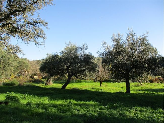 Image No.18-Property for sale