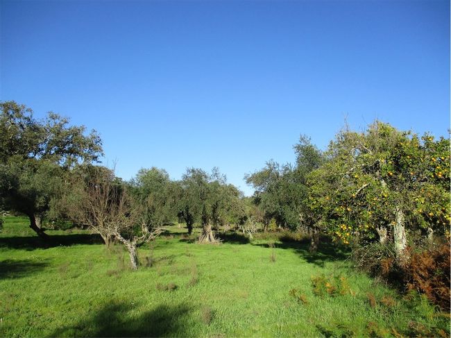 Image No.19-Property for sale