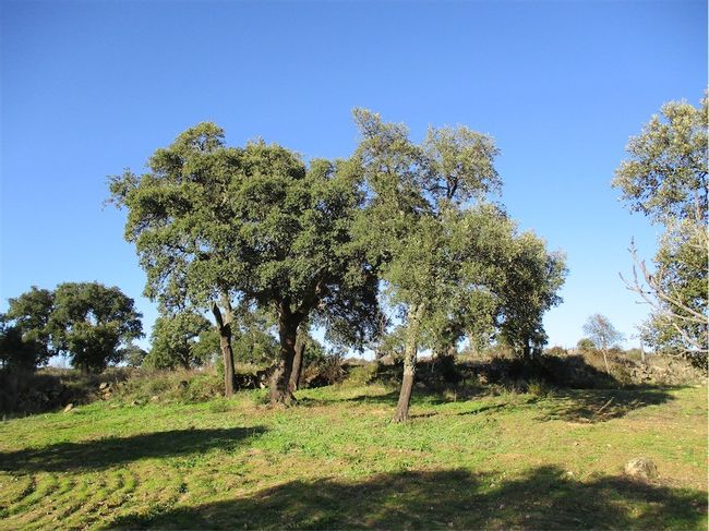 Image No.2-Property for sale